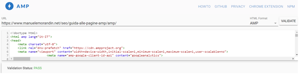 screen validator AMP